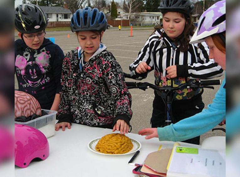 Students touching jello brain